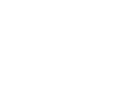 Certified NMSDC MBE 2020 Logo